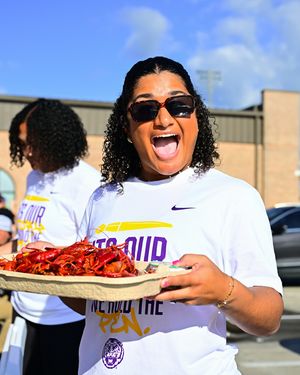Image post by @lsusoftball on Instagram