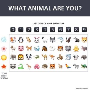 Image post by @buzzfeedquiz on Instagram