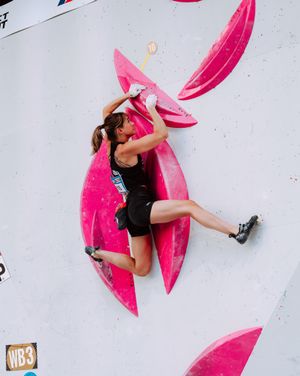 Image post by @usaclimbing on Instagram
