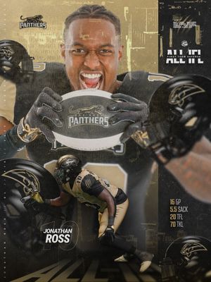 Image post by @panthersifl on Instagram