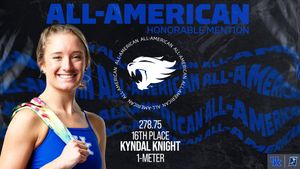 Image post by @UKSwimDive on Twitter