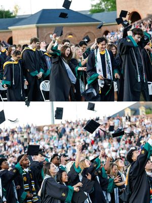 Image post by @tribeathletics on Instagram