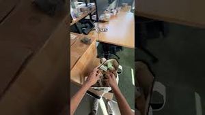 Video post by @drsquatch on YouTube