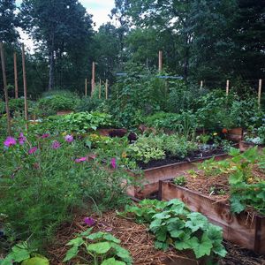Image post by @ahs_gardening on Instagram