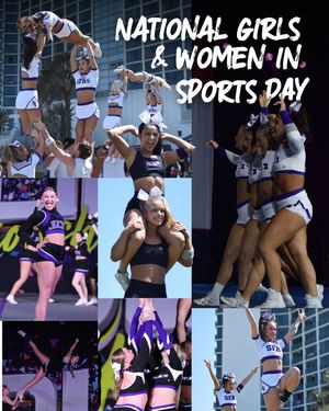 Image post by @sfa_cheer_ on Instagram