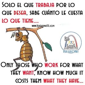Image post by @redlatina on Facebook