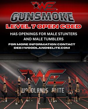 Image post by @woodlandscheer on Instagram