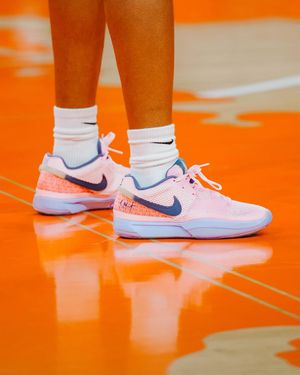 Image post by @clemsonwbb on Instagram
