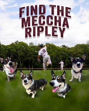Image post by @cotuitkettleers on Instagram