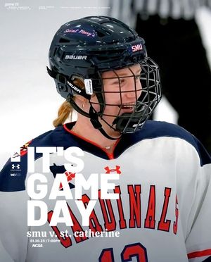 Image post by @smumnwhockey on Facebook