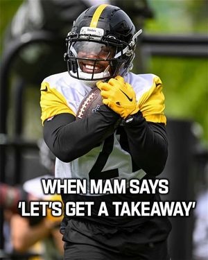 Image post by @steelersireland on Instagram