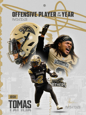 Image post by @panthersifl on Instagram