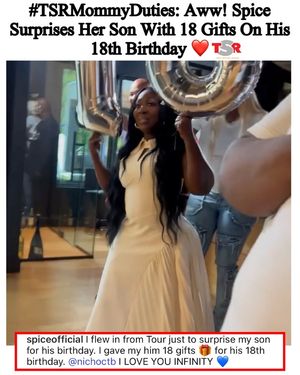 Image post by @theshaderoom on Instagram