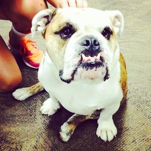 Image post by @butlervb on Instagram