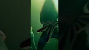 Video post by @trivium on YouTube