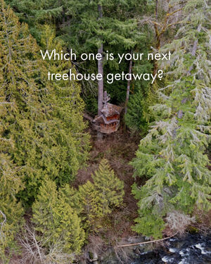 Image post by @treehousepoint on Instagram