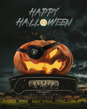 Image post by @raiders on Instagram