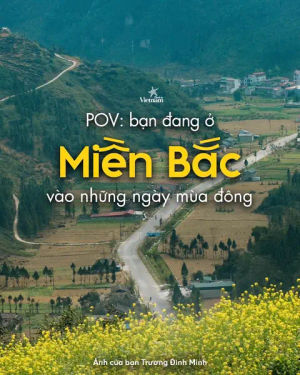 Image post by @checkinvietnam on TikTok