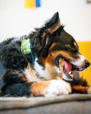 Image post by @honeyimhome on Instagram