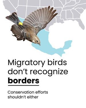 Image post by @featherfriendly on Instagram