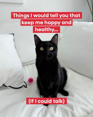Image post by @petsmart on Instagram