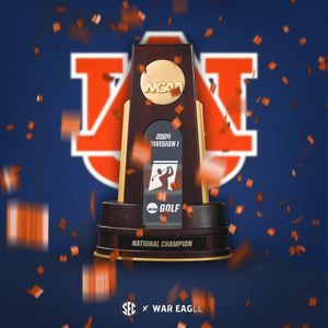 Image post by @sec on Instagram