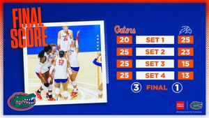 Image post by @GatorsVB on Twitter