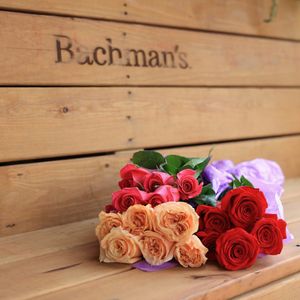 Image post by @shopbachmans on Instagram