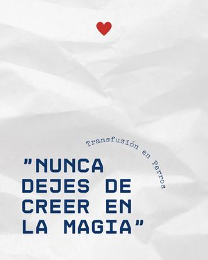 Image post by @vetconejero on Instagram
