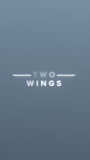 Video post by @foreflight on Facebook