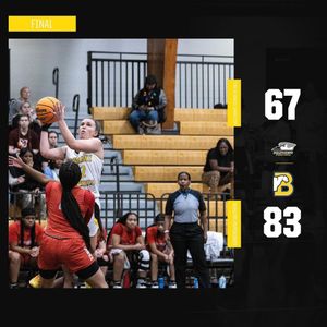 Image post by @gopetrelswbb on Instagram