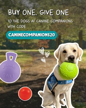 Image post by @canineorg on Instagram