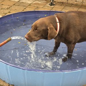 Image post by @shop_buddybythesea on Instagram