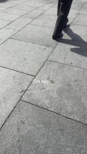 Video post by @anyaweitz on TikTok