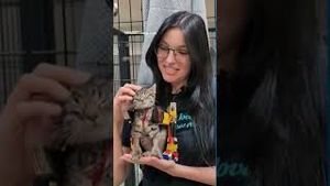 Video post by @ktvb7 on YouTube