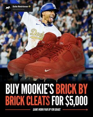 Image post by @soleretriever on Instagram