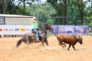 Image post by @teamropingjourn on Instagram