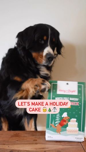 Video post by @petsmart on Instagram