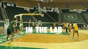 Image post by @lionupmbb on Instagram