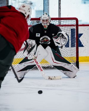 Image post by @minnesotawild on Instagram