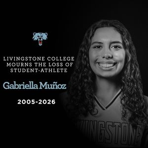 Image post by @bluebearathletics on Instagram