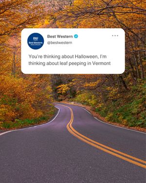 Image post by @bestwestern on Instagram