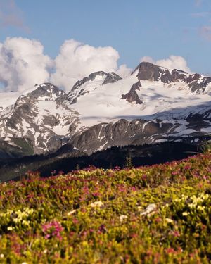 Image post by @whistlerblackcomb on Instagram