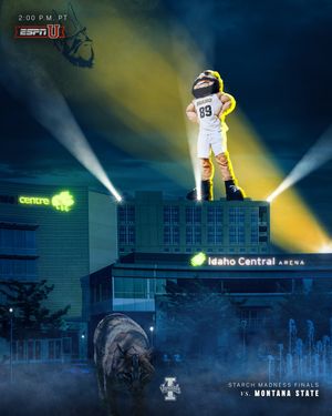 Image post by @vandalswbb on Instagram