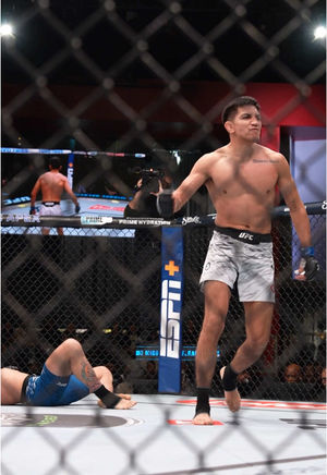 Video post by @ufc on TikTok