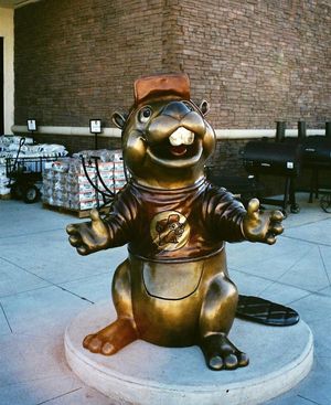 Image post by @bucees on Instagram