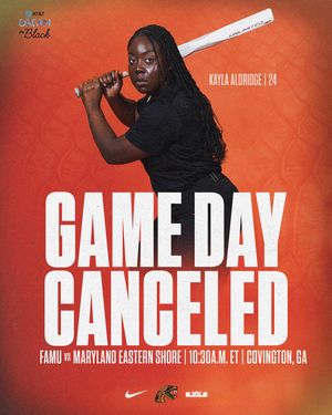 Image post by @famu_softball on Instagram