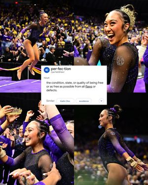 Image post by @LSUgym on Twitter