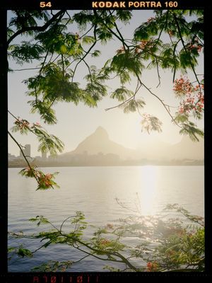 Image post by @kodakprofessional on Instagram