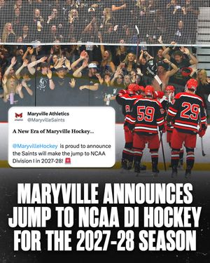 Image post by @hockeyhousepod on Instagram